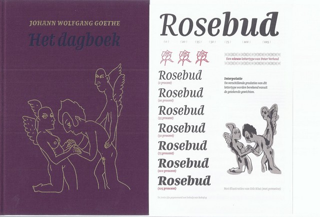 GOETHE, JOHANN WOLFGANG; VERTALING PETER VERSTEGEN - Het Dagboek