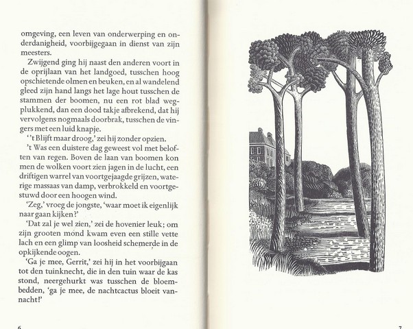 LOOY, JAC.VAN (1855-1930) - De Nachtcactus