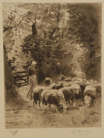 MEULEN, TER (F.P. 1843- 1927) (OORSPRONKELIJK WERK) - (Schapen Met Herderin)