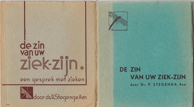STEGENGA AZN, DR.P. - De Zin Van Het Ziek Zijn; Een Gesprek Met Zieken